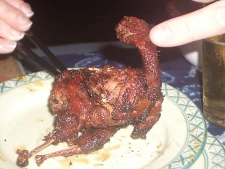 Pidgeon anyone.jpg