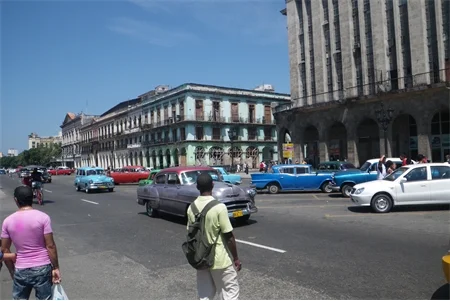 IMGP0420.jpg