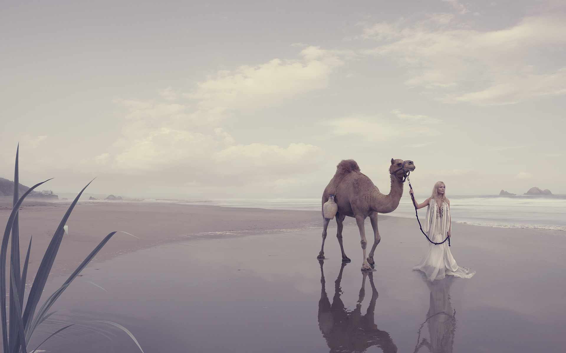 9_Personal_Camel_I_Wip_7_Final.jpg