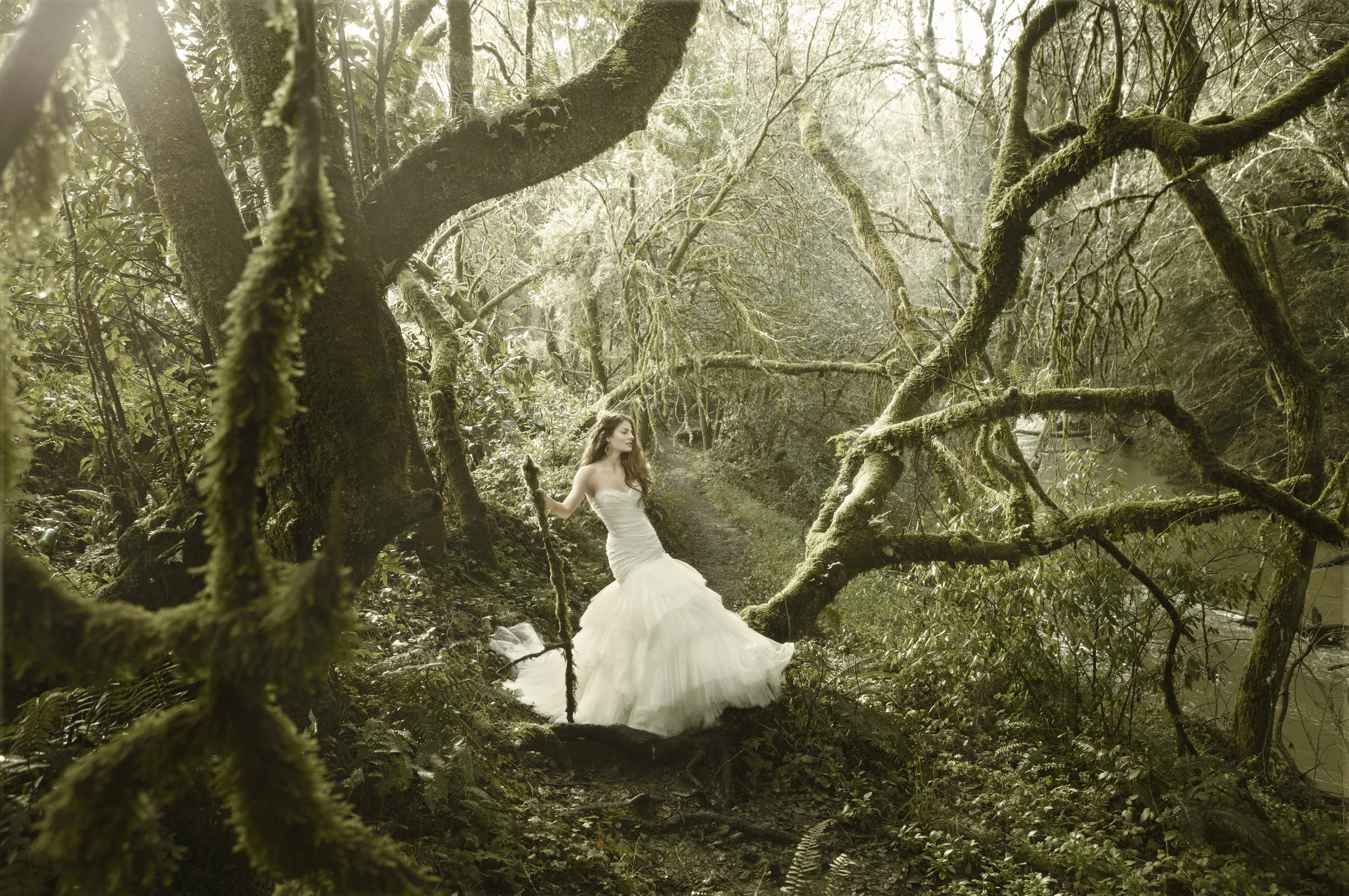 Brides_Middle Earth_Shot 1_2005_Wip_4_Final.jpg