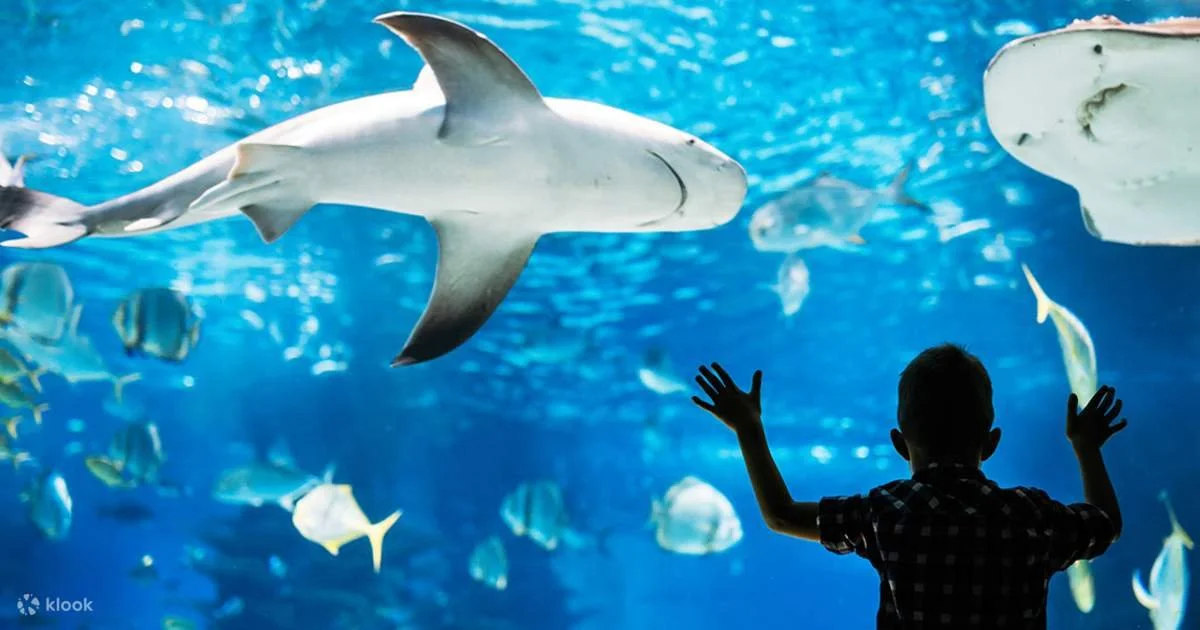Adventure Aquarium Admission Ticket in Philadelphia.jpg