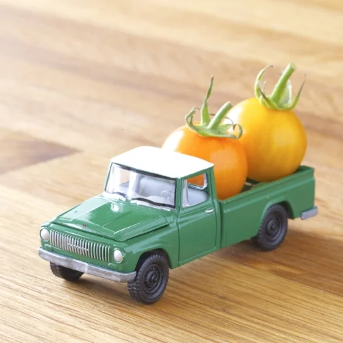 pickup_truck_sungold_tomatoes.jpg