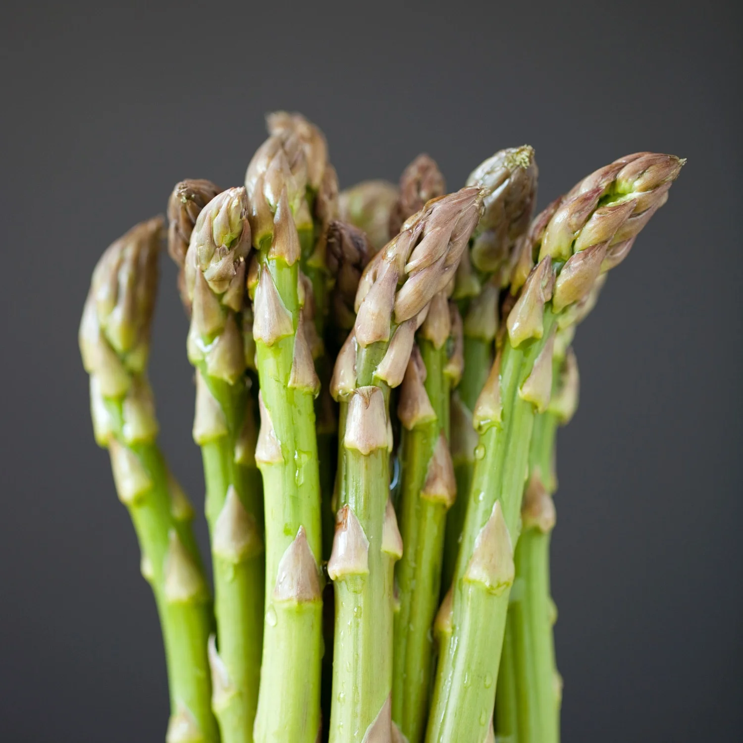 ASPARAGUS