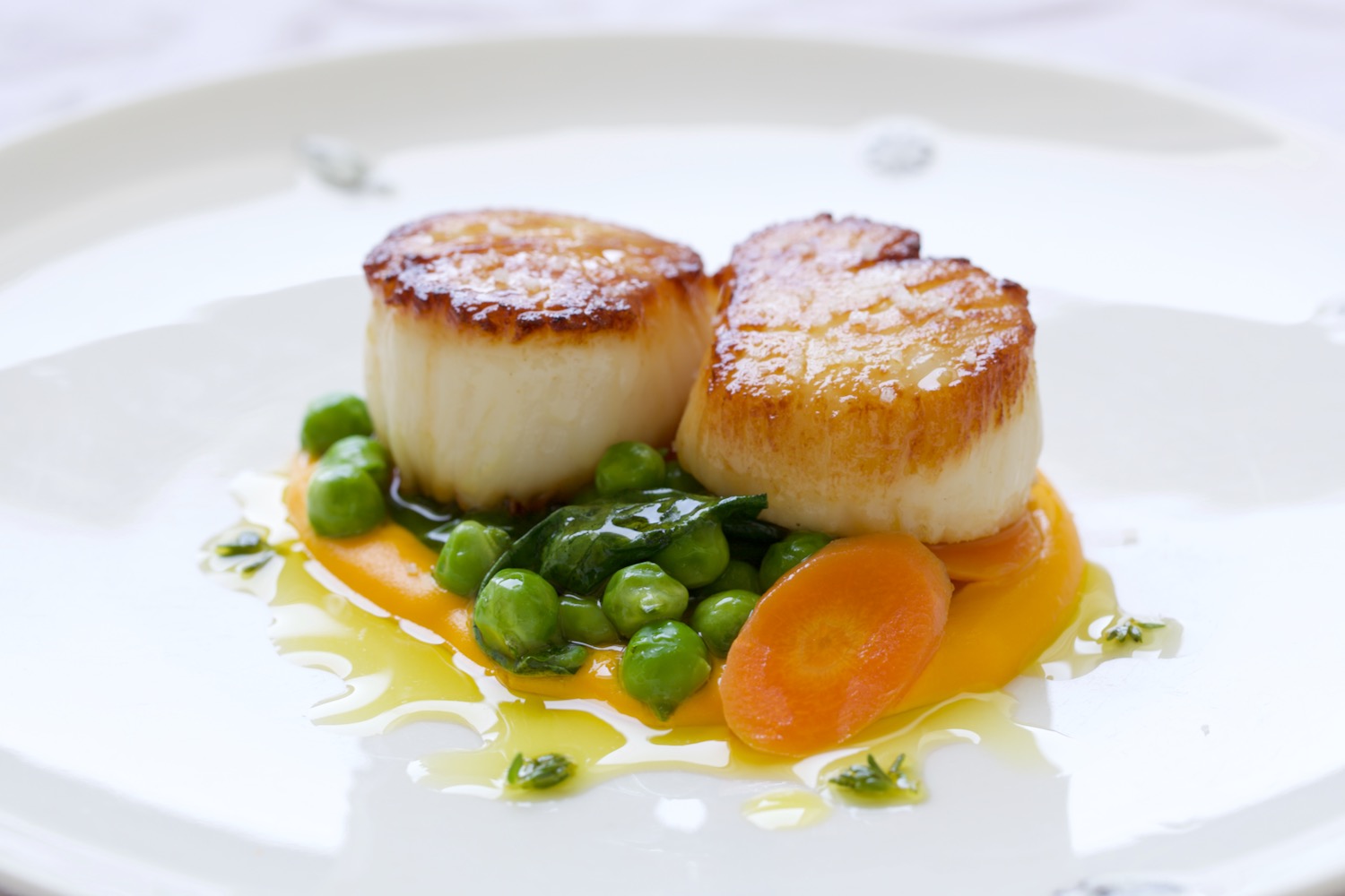 DIVER SCALLOPS