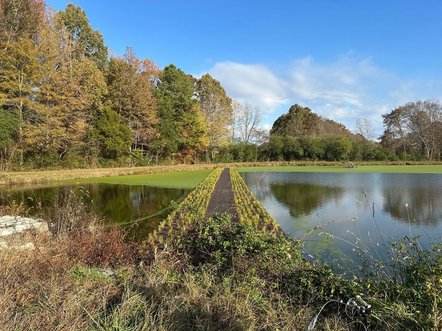 🌿 Committed to Sustainable Solutions 🌿

We&rsquo;re proud to celebrate the completion of our first constructed wetland system and aerator installation at The Water Treatment Plant in Trezevant, TN. Constructed wetlands use native plants and natural