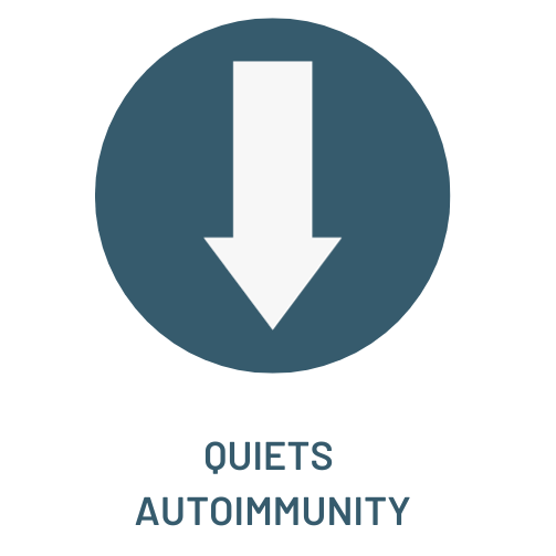 Quiets Autoimmunity.png