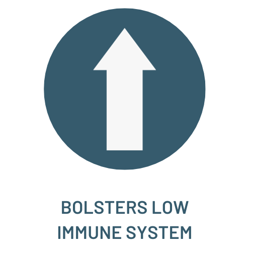 Bolsters Low Immune System.png