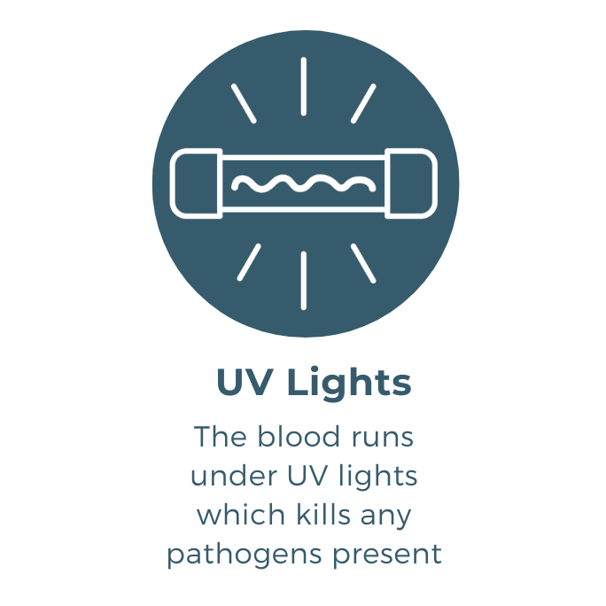 UV Lights.png