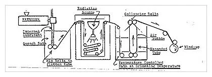 Figure1.jpg