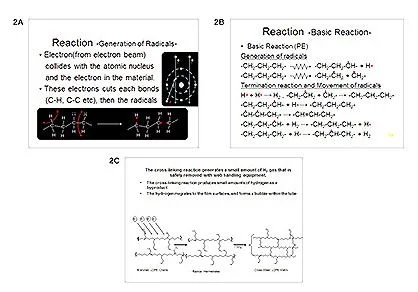Figure2A2B2C.jpg