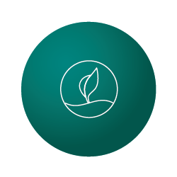 Home_Icon_Gren-01.png