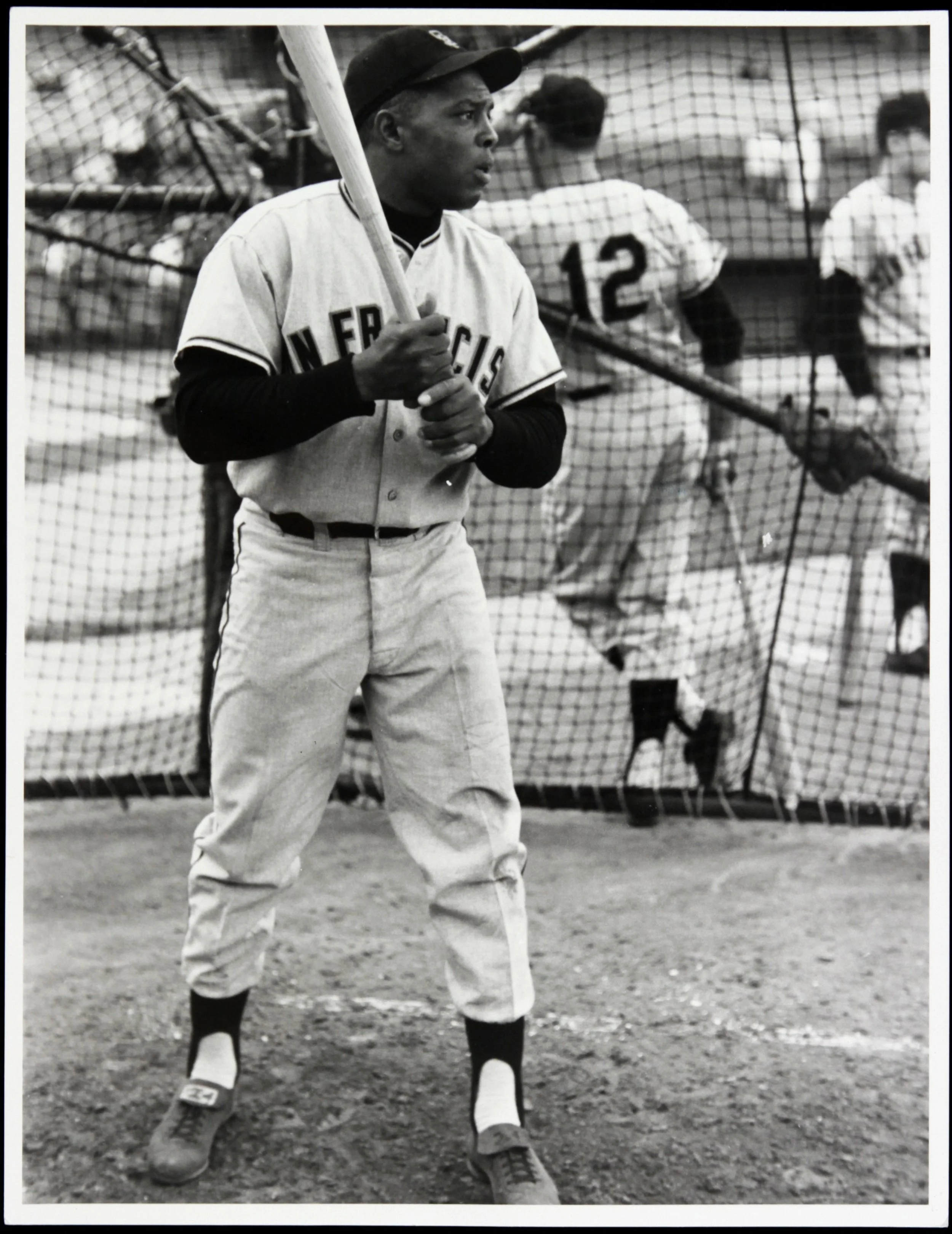 Fandom Flux - The Permanence and Transience of Franchises