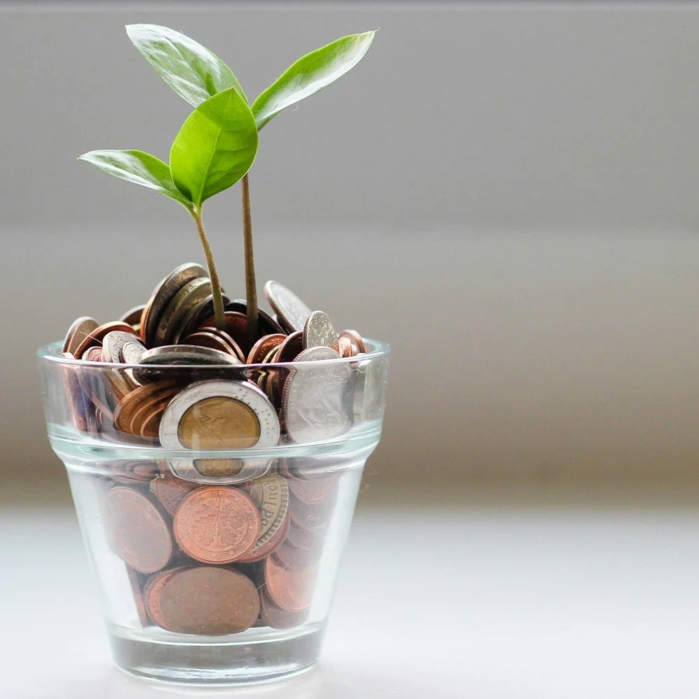 Growth Comes at a Cost