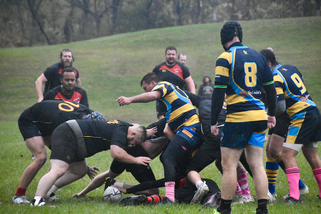 DSC_1245.png