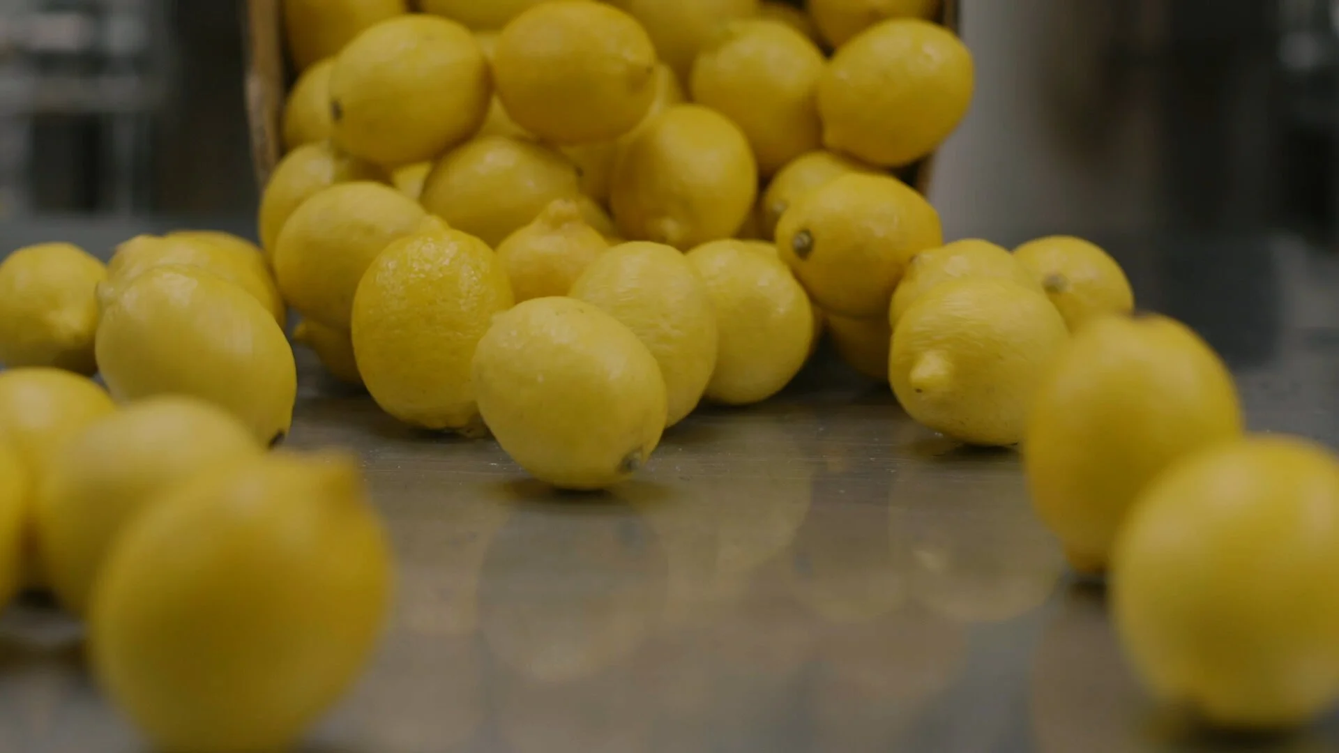 lemons_1.1.11.jpg