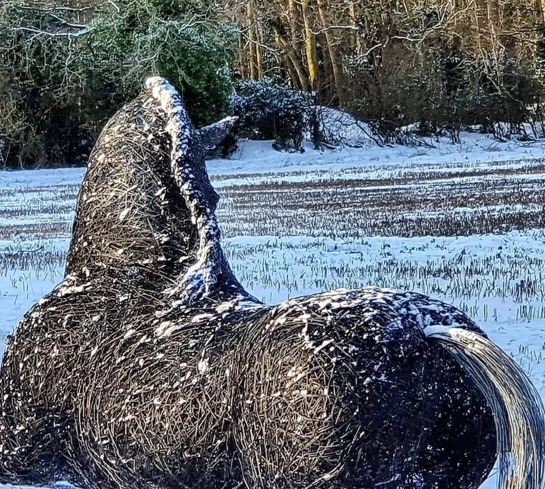 Happy 1st birthday to Macmorland!

I love how the seasons alter his presence and how good does the snow look against the black coat?!

Big snow boy is *for sale*
.
.
.
#wiresculpture #wirehorse #horsesculpture #yeguada #horsestud #lusitanostallion #s