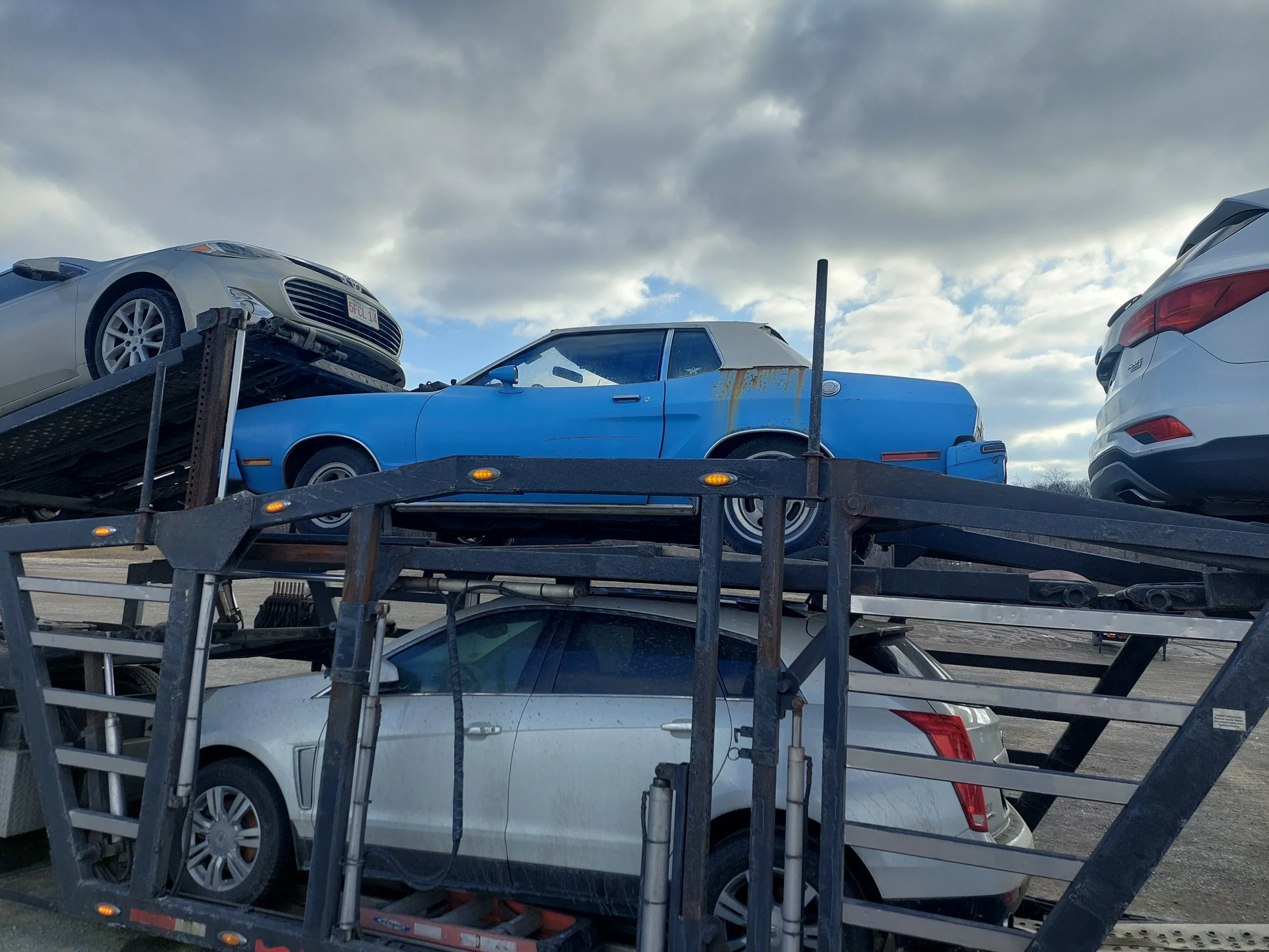 Car Shipping Near Me: How to Find the Best Auto Transport Service in Your Area
