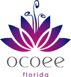Why Ocoee Residents Trust Our Family-Owned Car Transport Brokerage for Auto Shipping in Central Florida