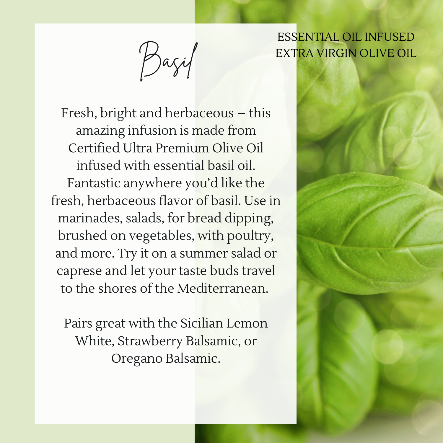 Basil Infused Olive Oil — Nika's Olive