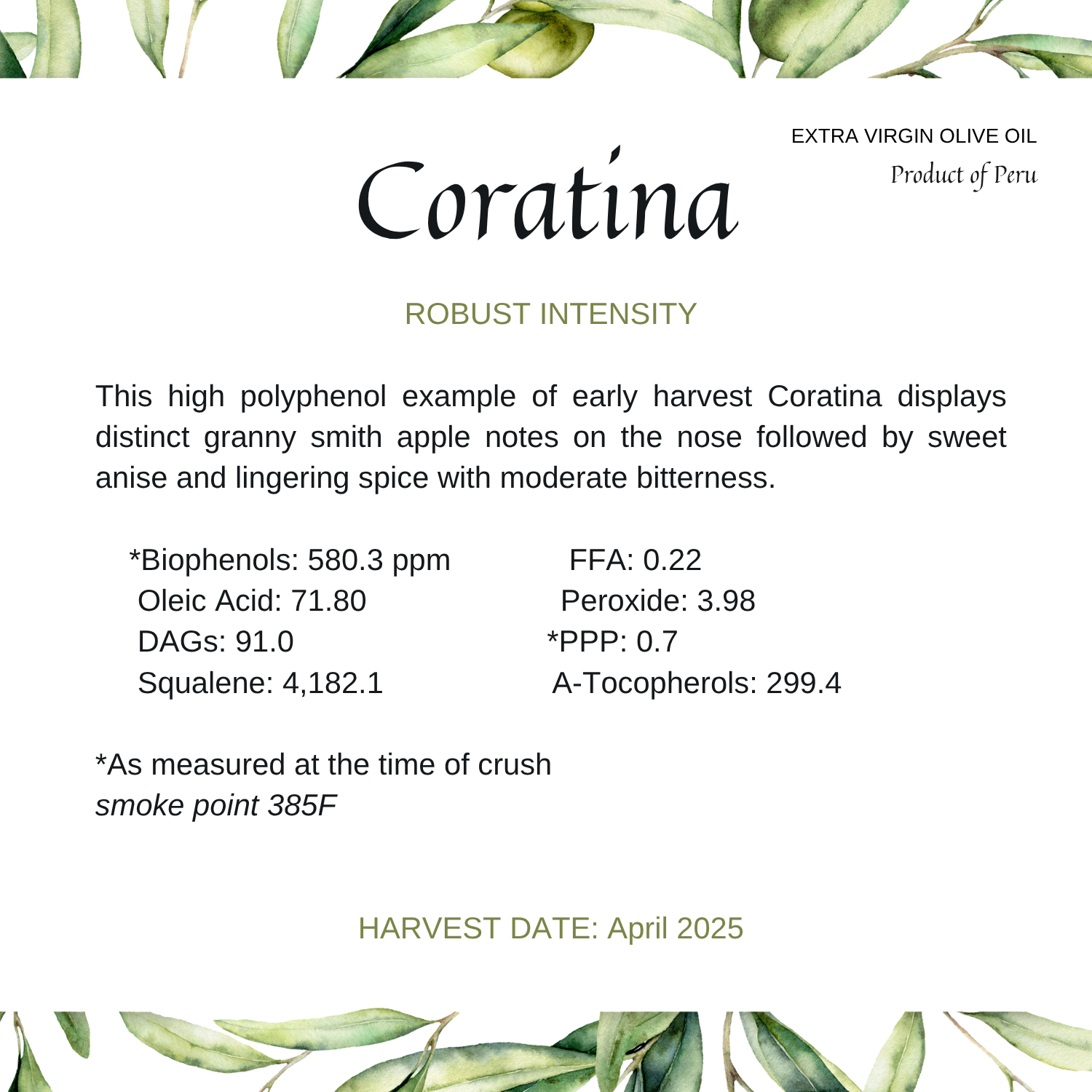 Coratina (5 x 5 in).png