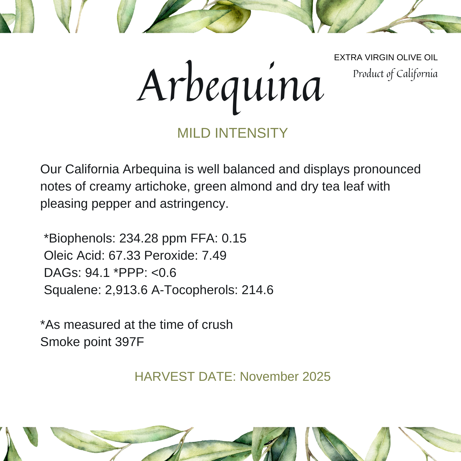 N2025 Arbequina (5 x 5 in).png