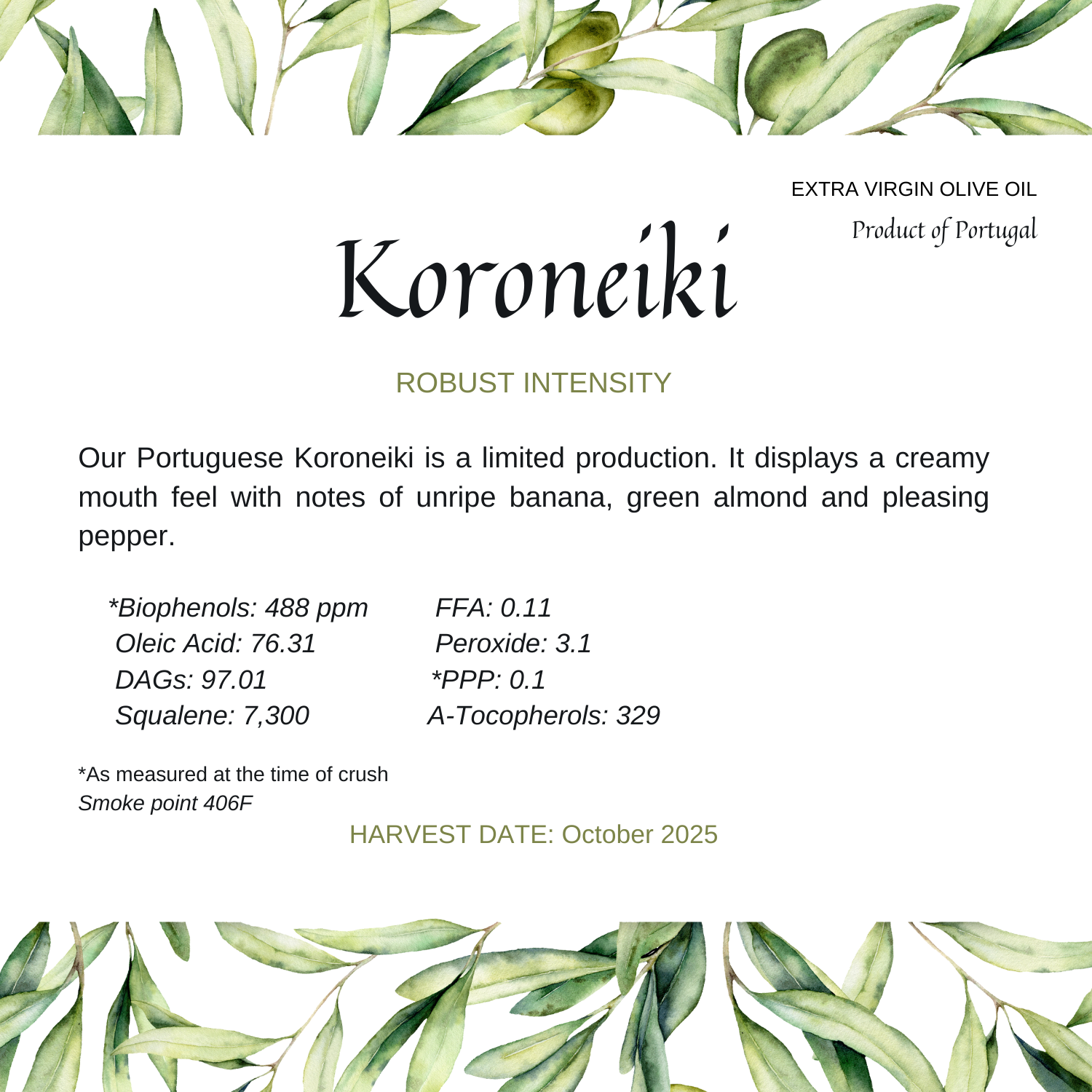 Koroneiki (5 x 5 in).png