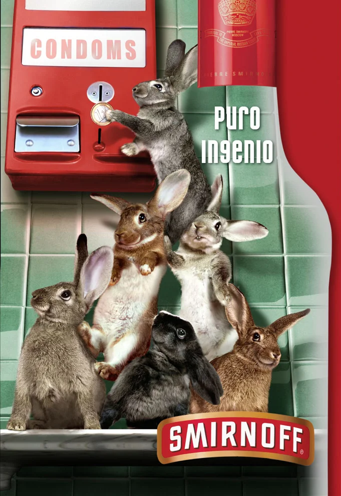 rabits ok.jpg