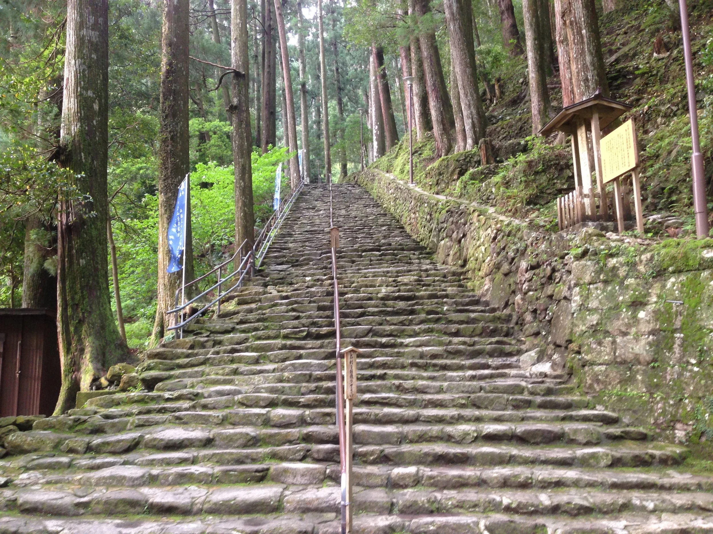 Ancient pathways