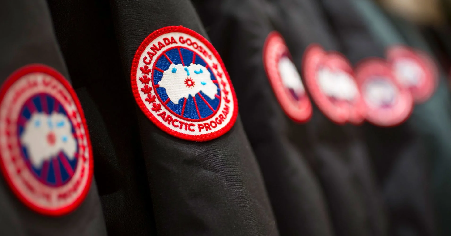 Canada Goose Image.jpg