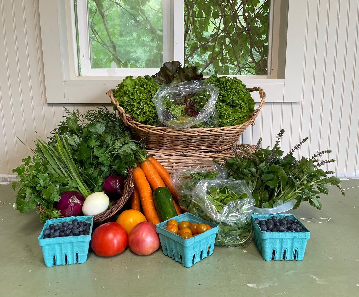 Lots of yummies coming to you @carrborofarmersmarket and @durhamfarmersmarket tomorrow!
🥬
Lots of GREENS- head lettuce, salad mix, arugula, baby kale, pea shoots; cilantro, parsley, chives; CARROTS, tomatoes, sungolds , cucumbers, sweet onions; Blue