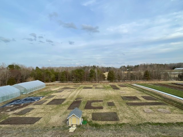 Community Garden Party - Volunteer work day