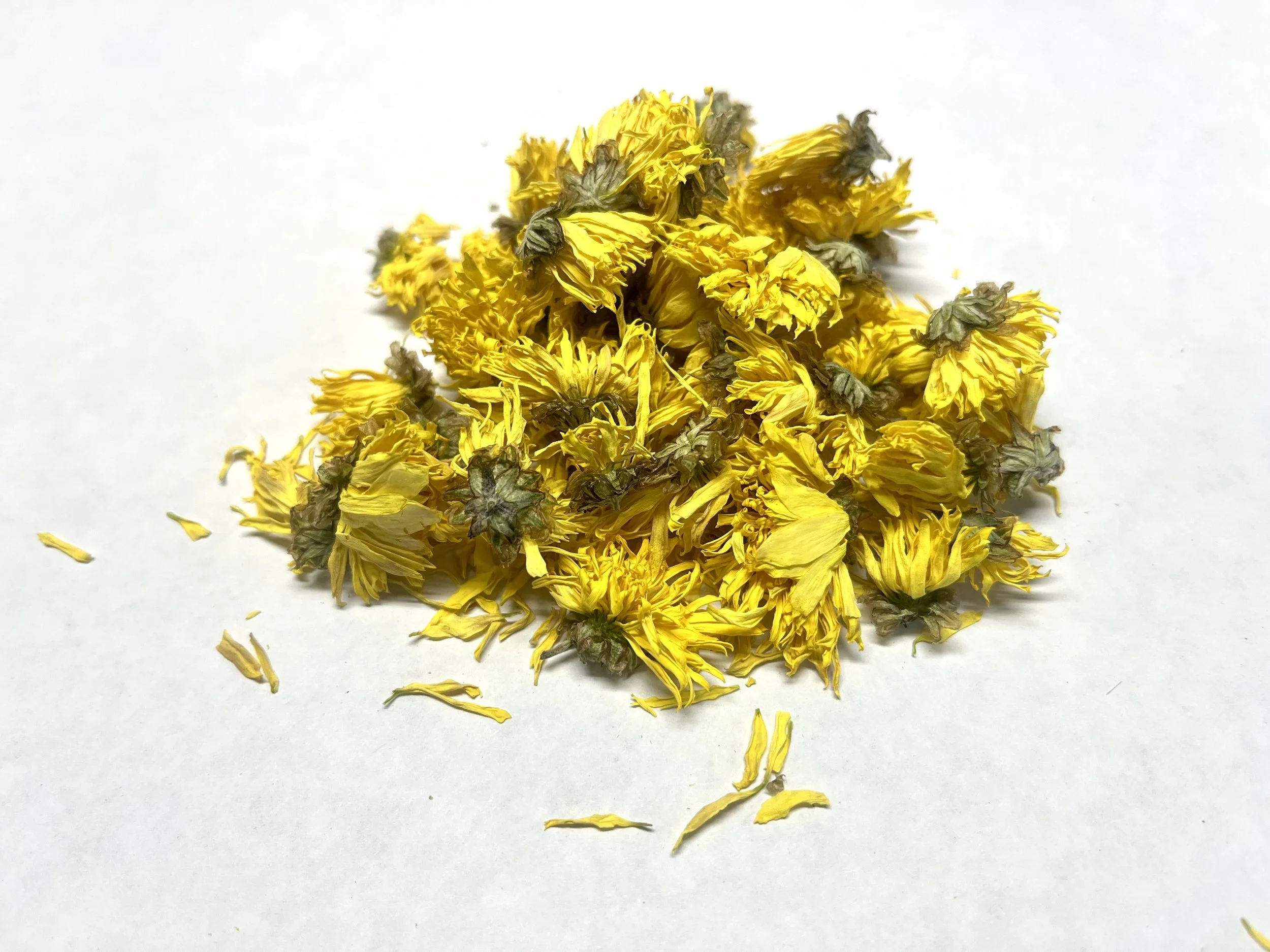 Chrysanthemum.jpg