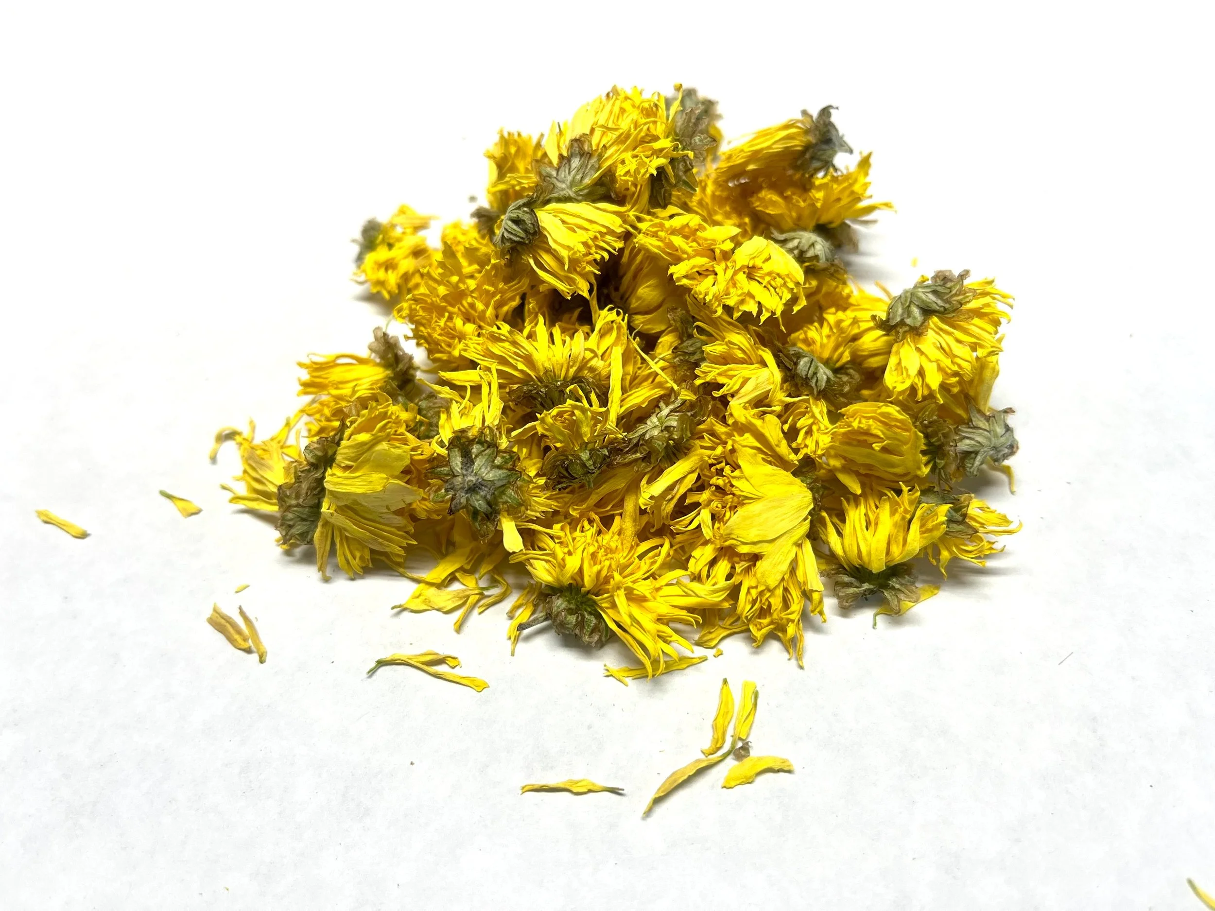 Chrysanthemum Flower - yellow