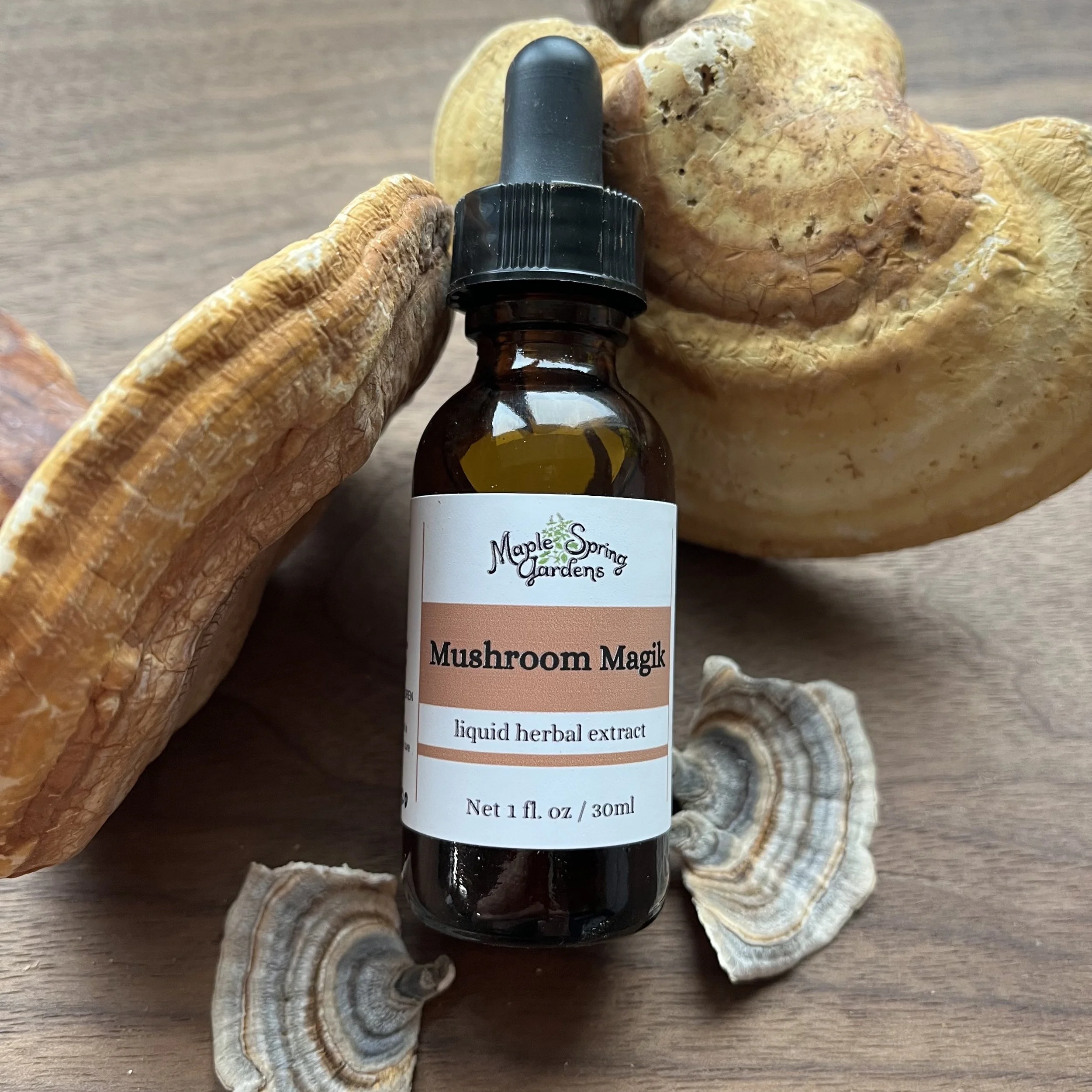 Mushroom Magik 2024.jpeg