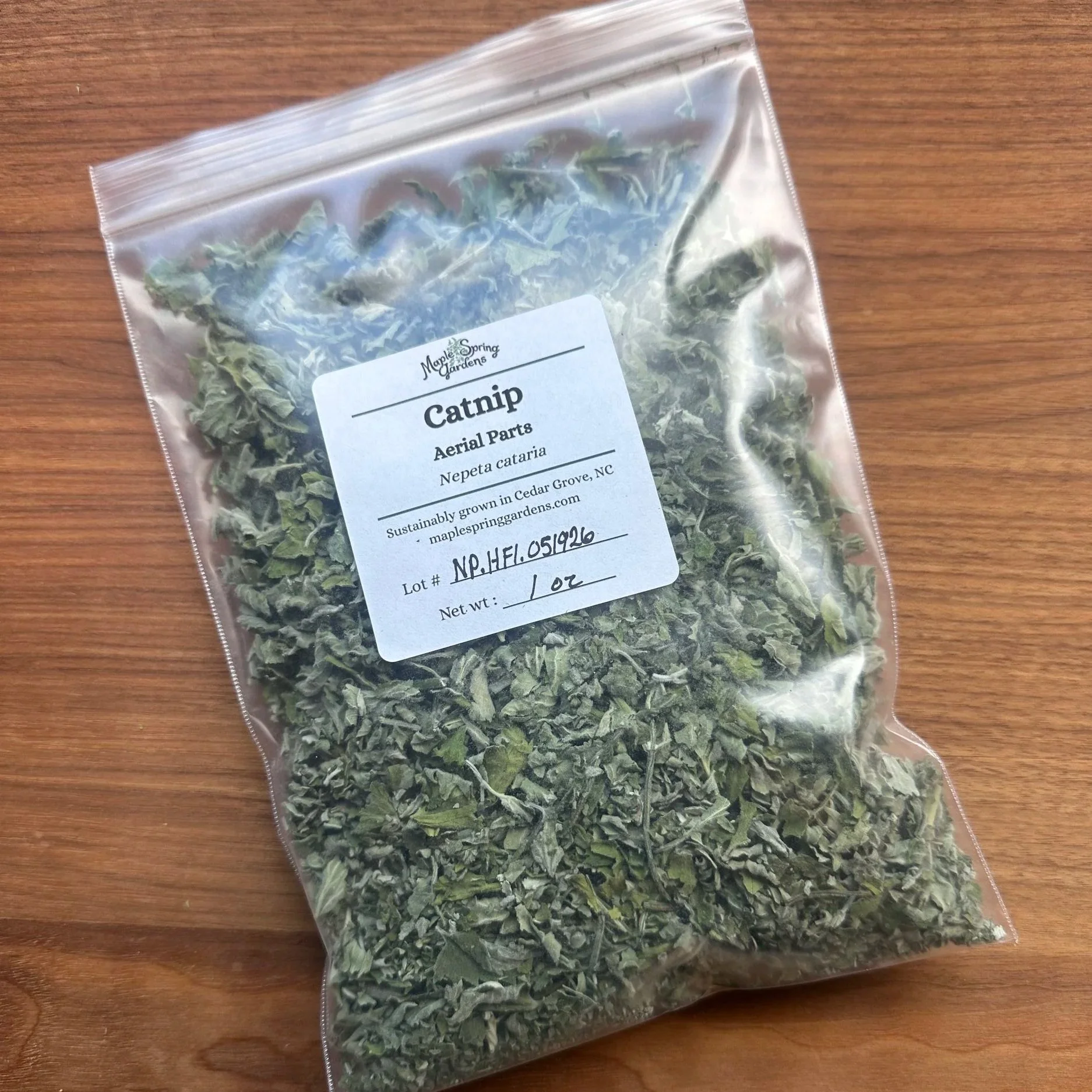 catnip.jpg
