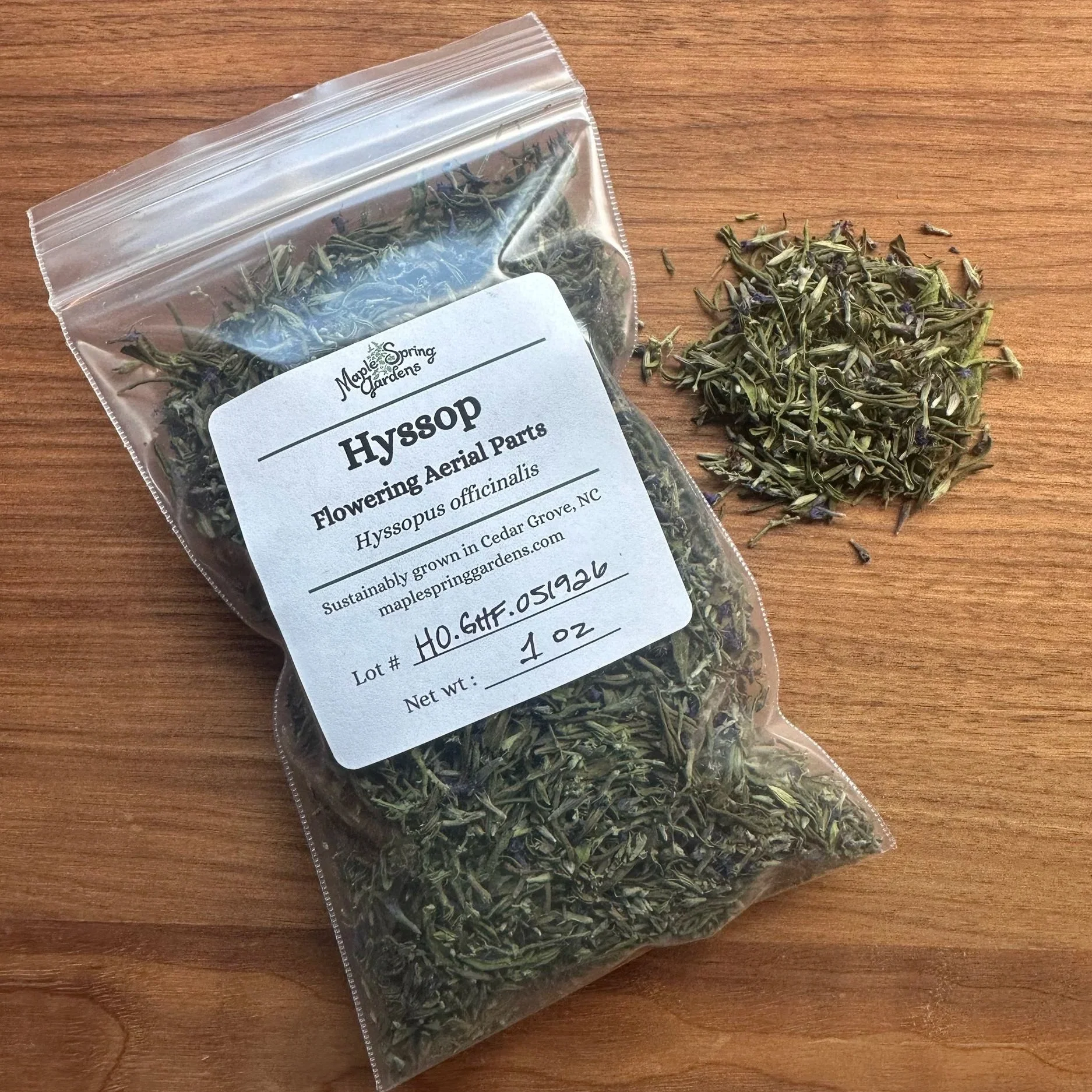 hyssop.jpg