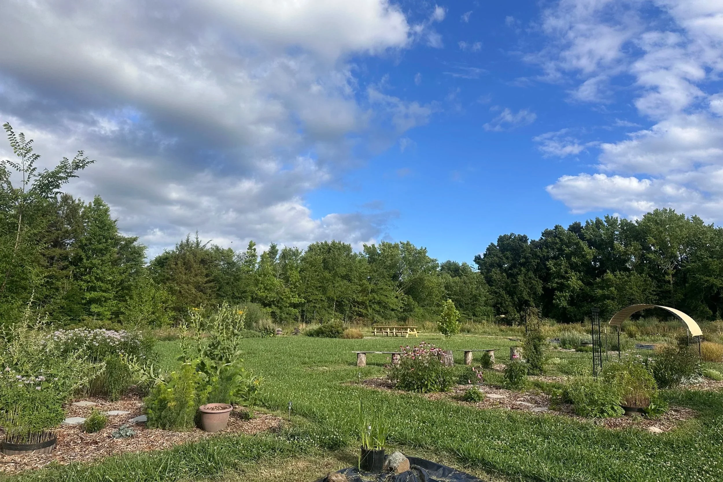Garden Dance Space