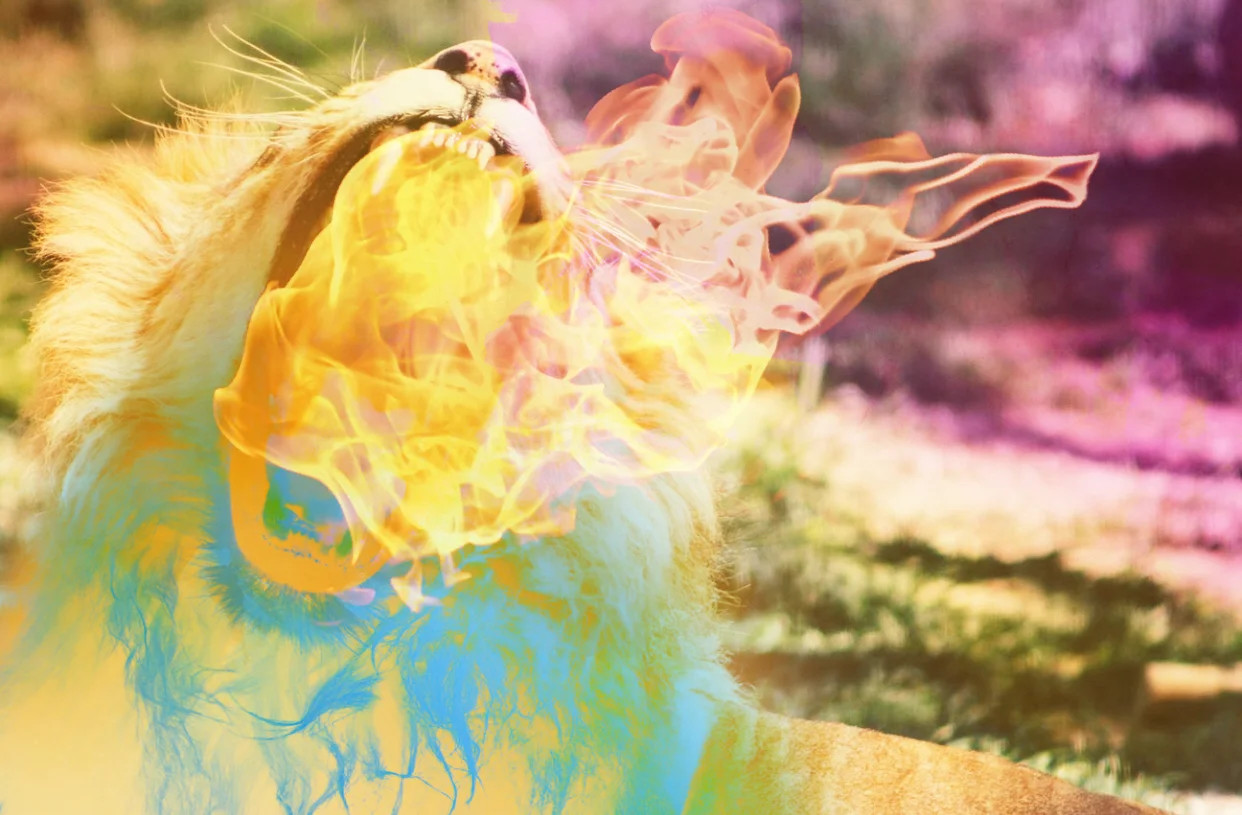 How Do You Feel About The #metoo Movement?