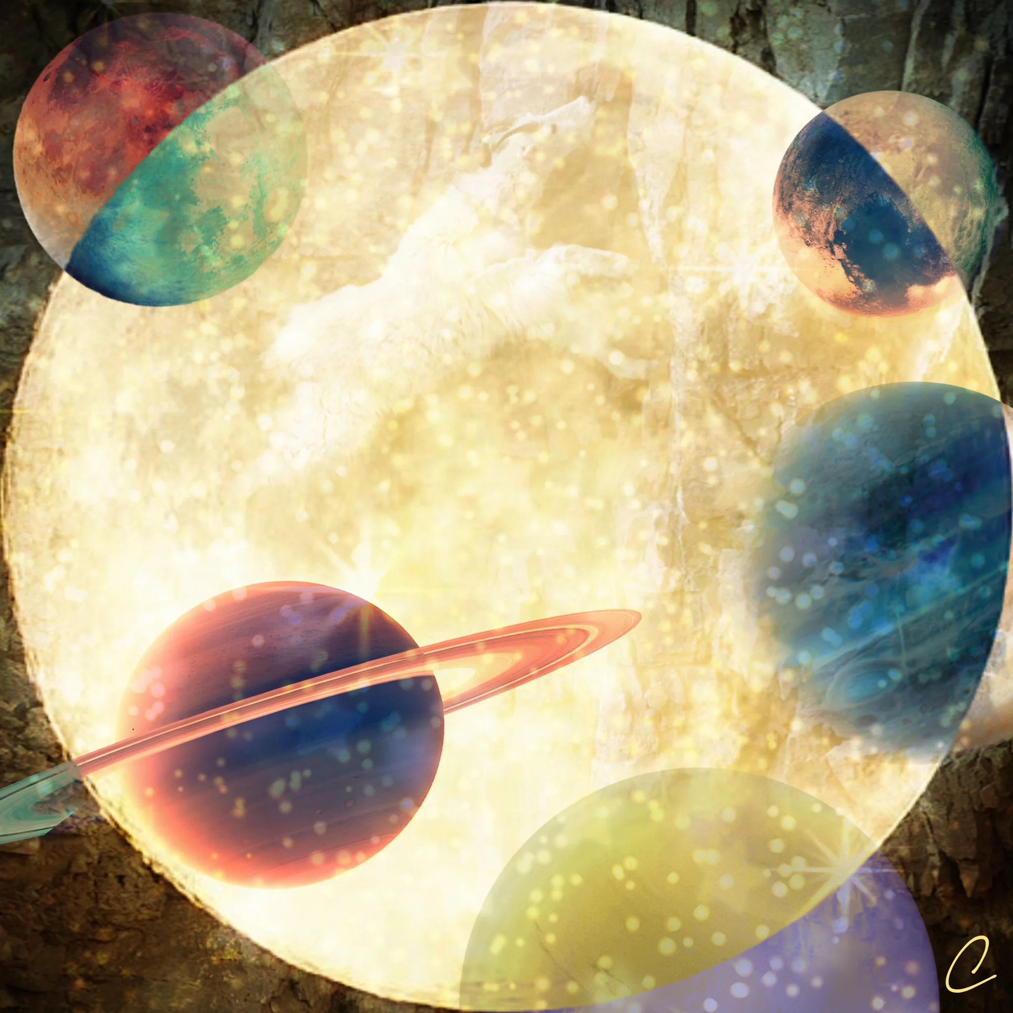 What Have You Been Avoiding?