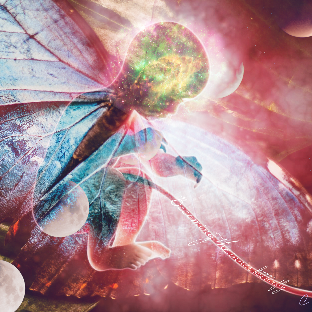 What is Metamorphosis?