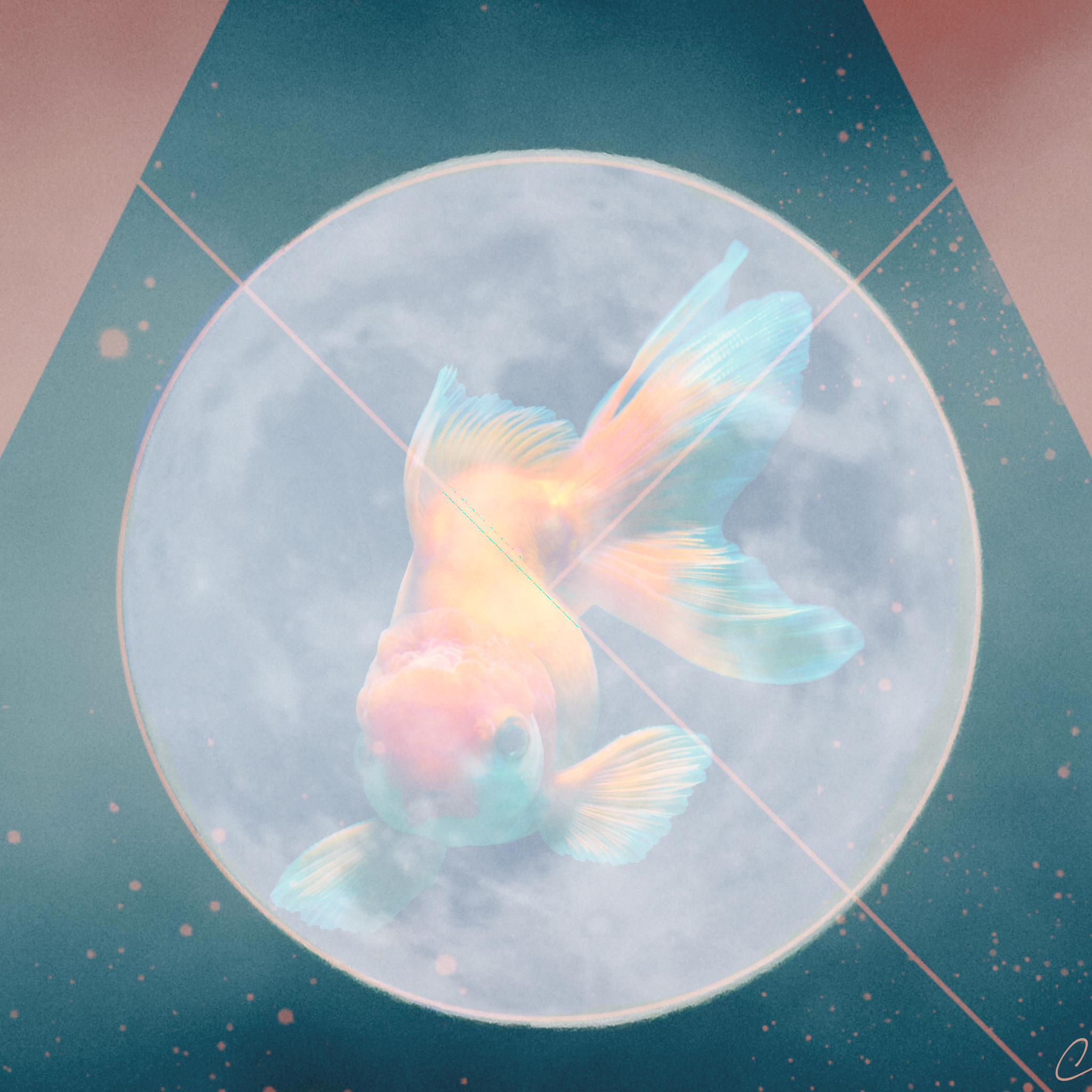 Who Are You in the Reflection of This Dreamer’s Moon?