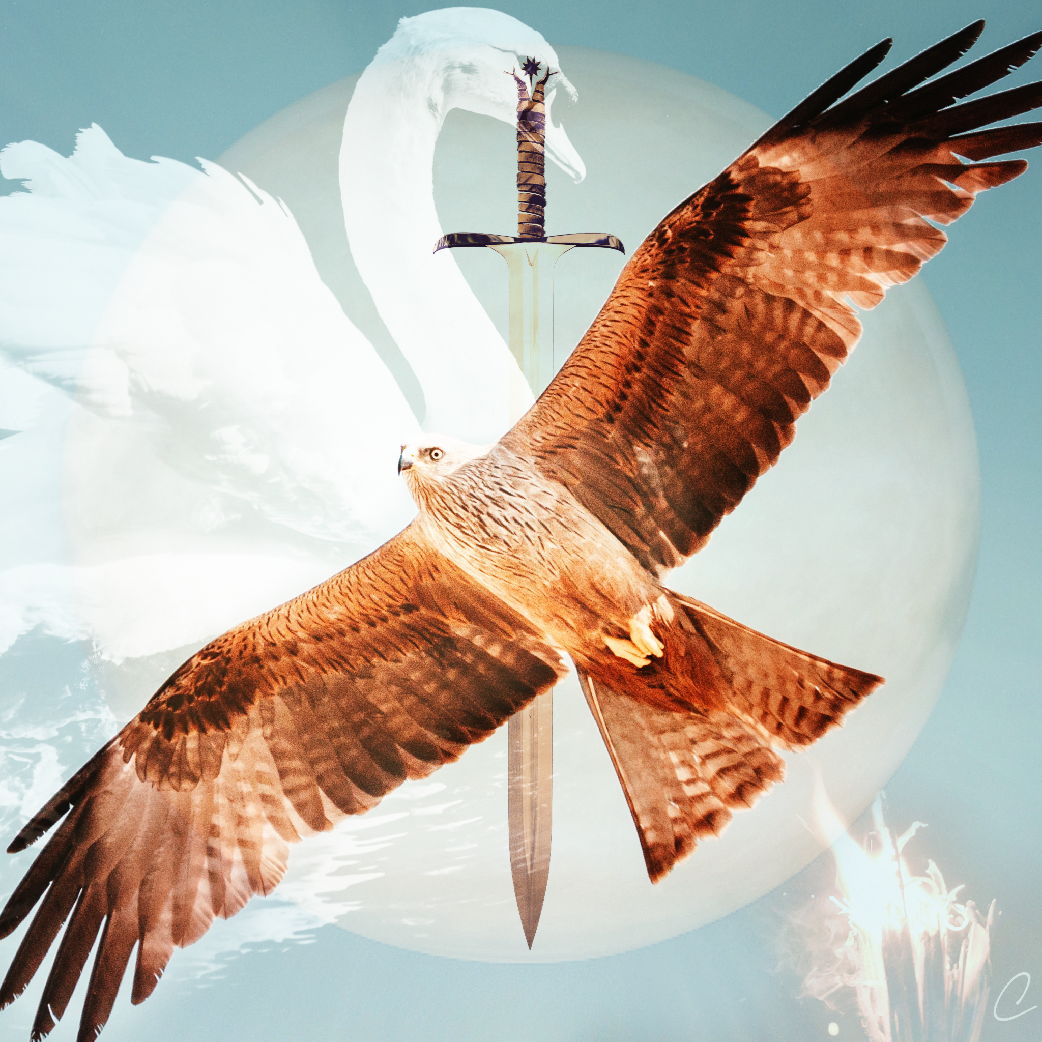 Is the Venus Deep Dive Just Beginning?