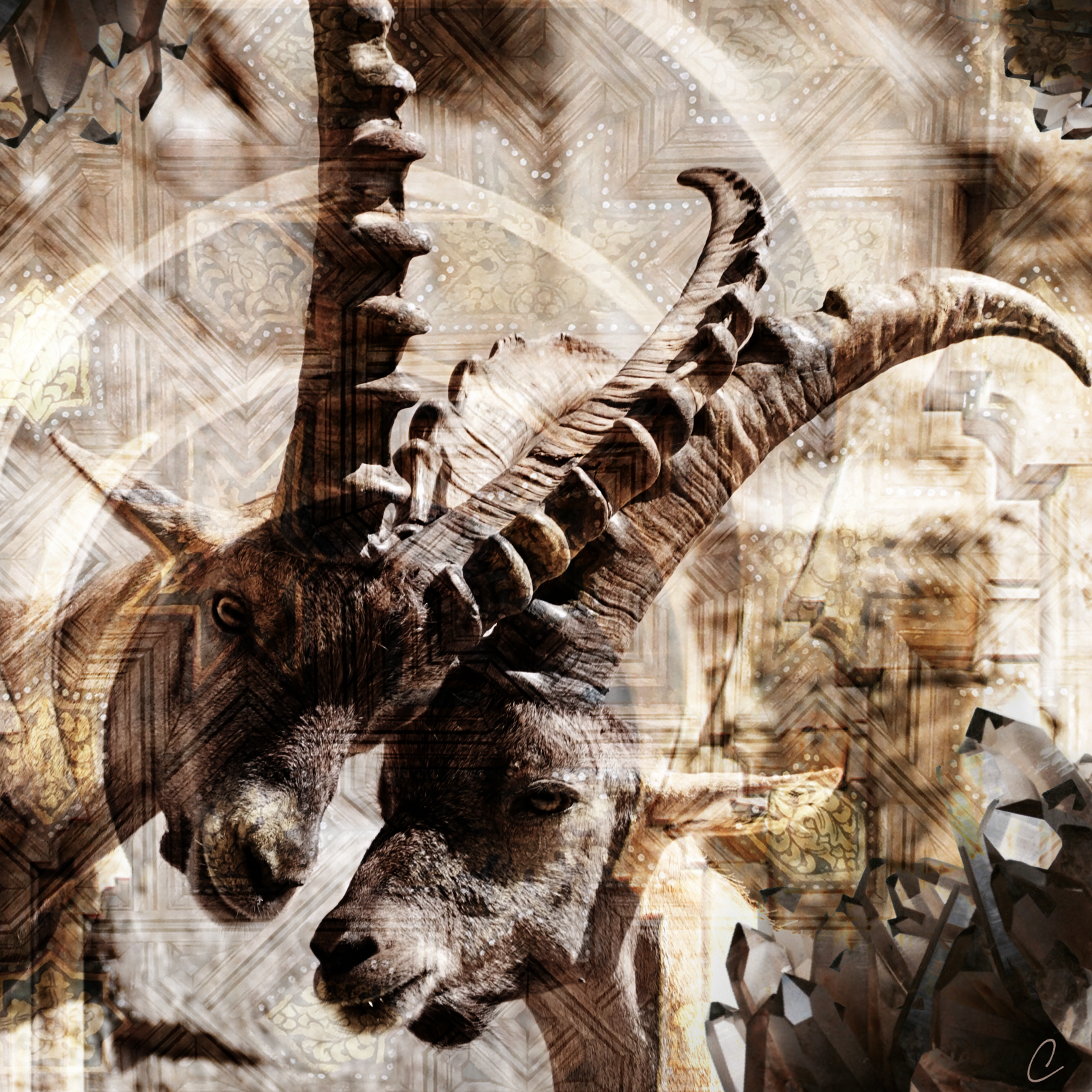 Will You Hold My Hand?