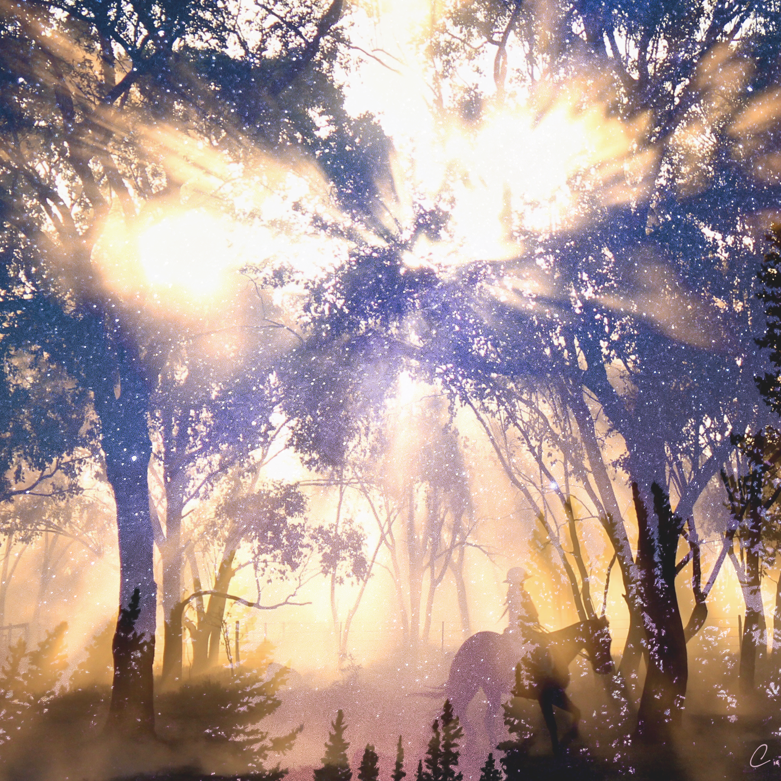 How Does Poetry Tell a Story?