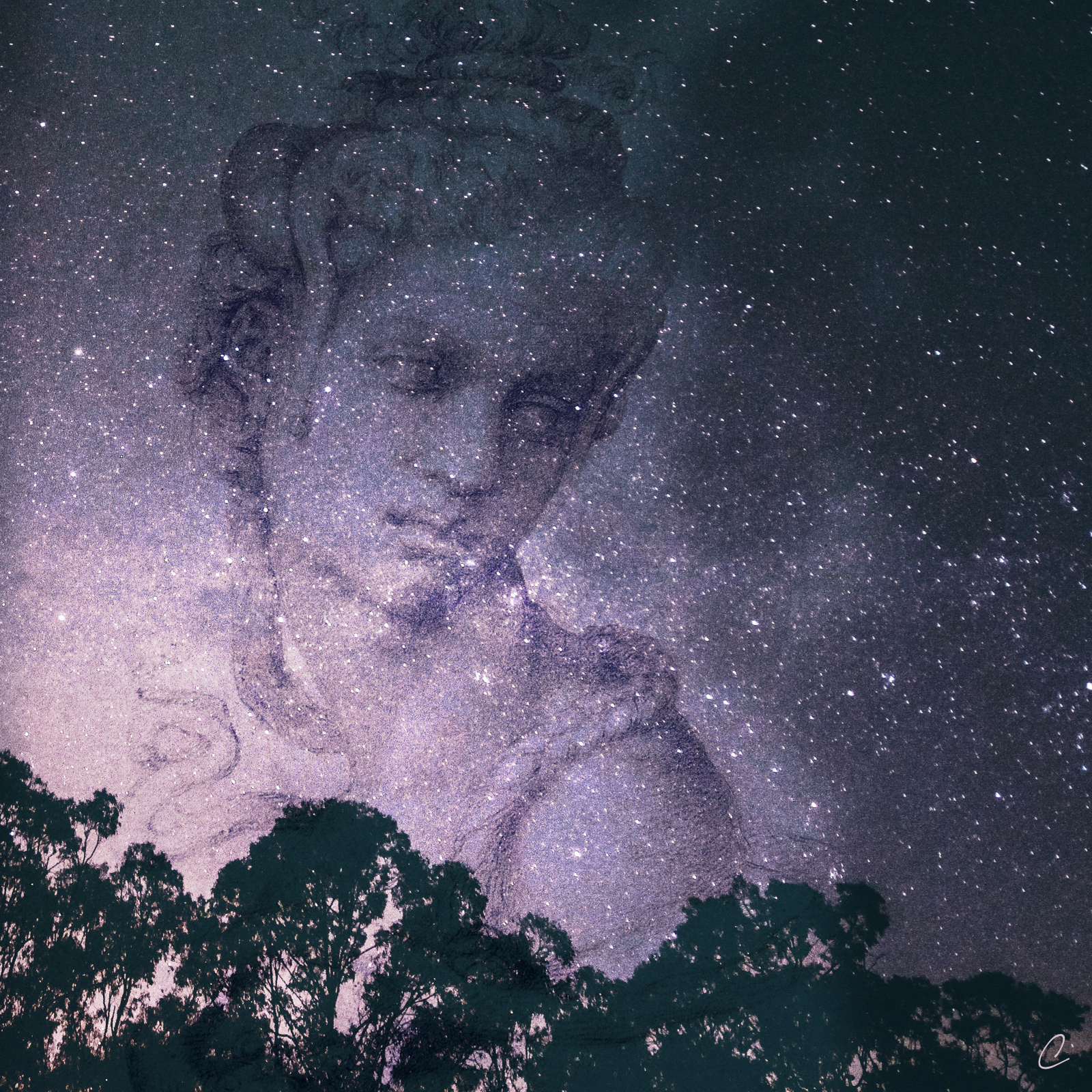 Who Do You Think You Are?