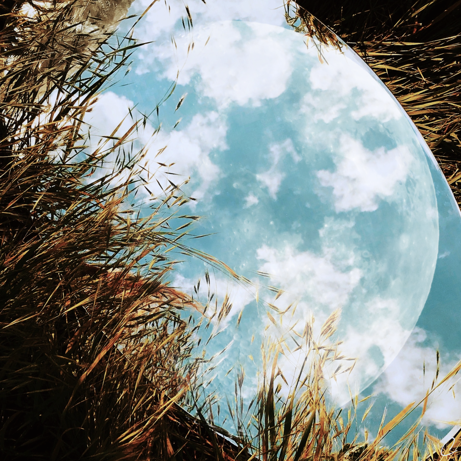 What is the Mirror of Compassion?