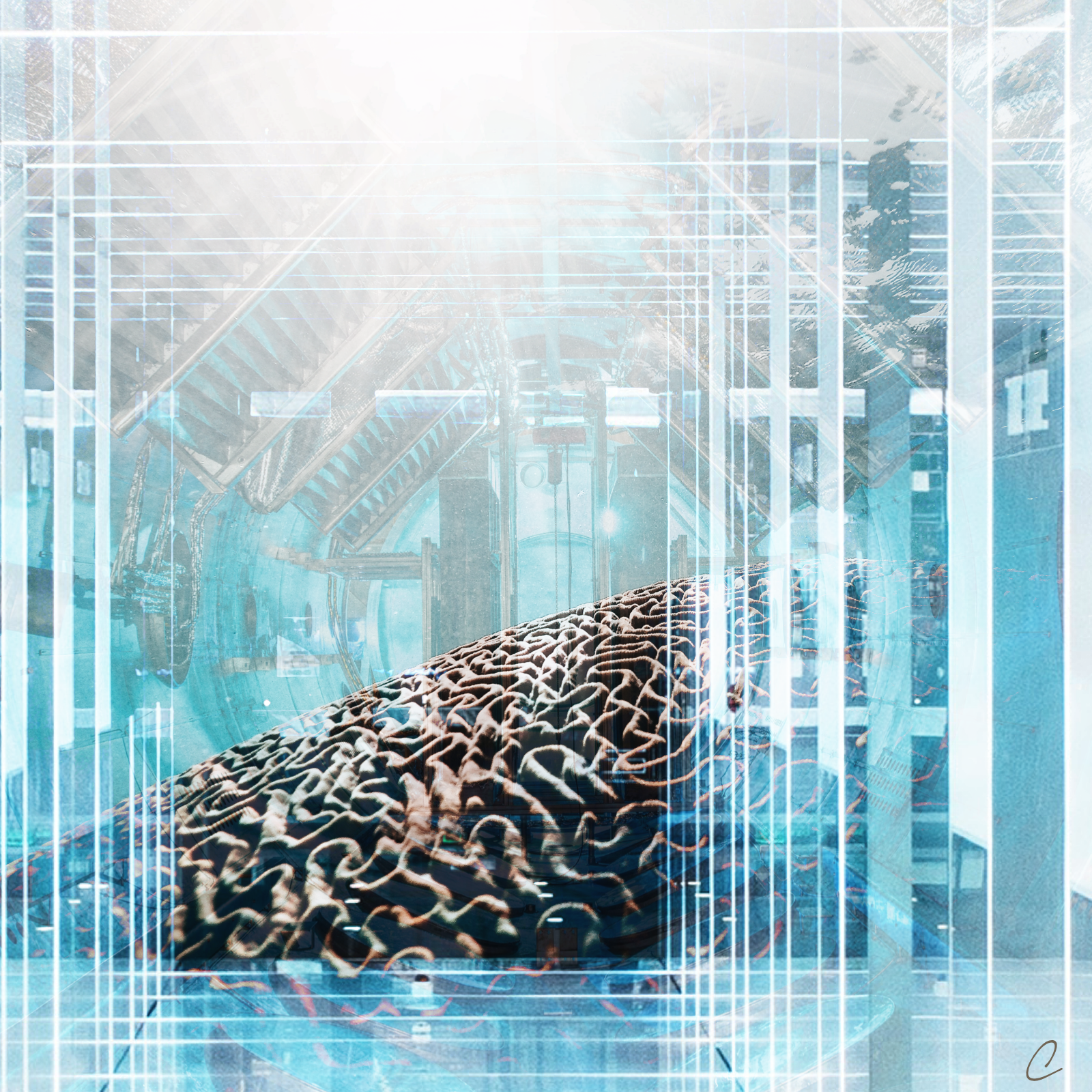 Is This Your Brain on Technology?