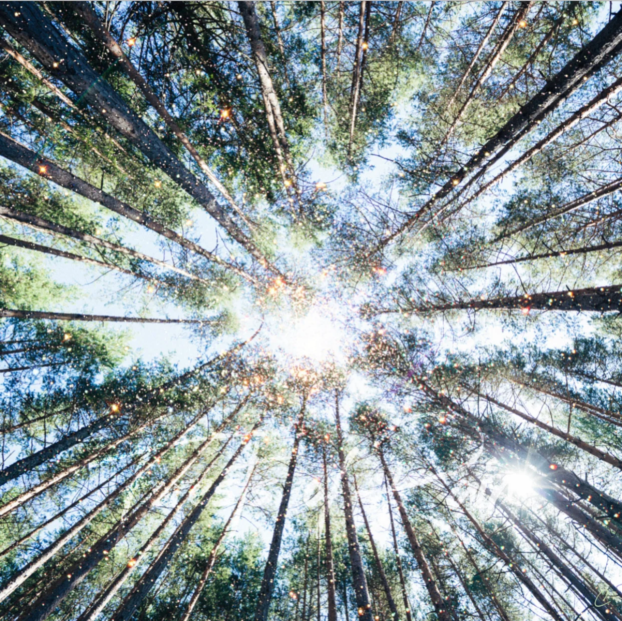 What is the Source of Your Energy?