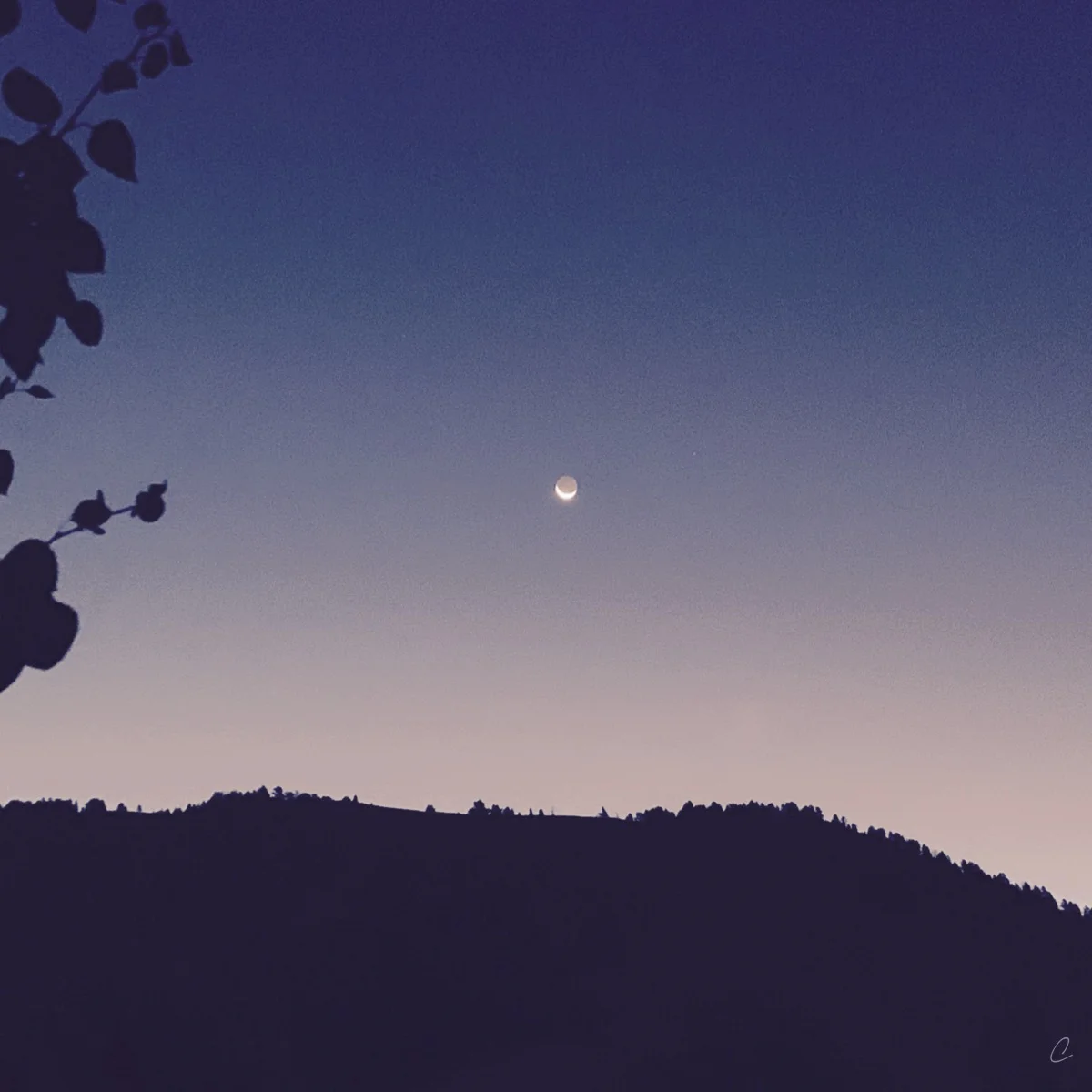 What Does Partnership Look Like to You?