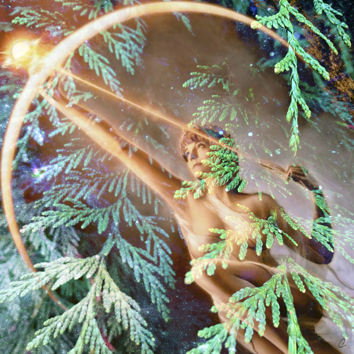 What Have You Learned in 2019?